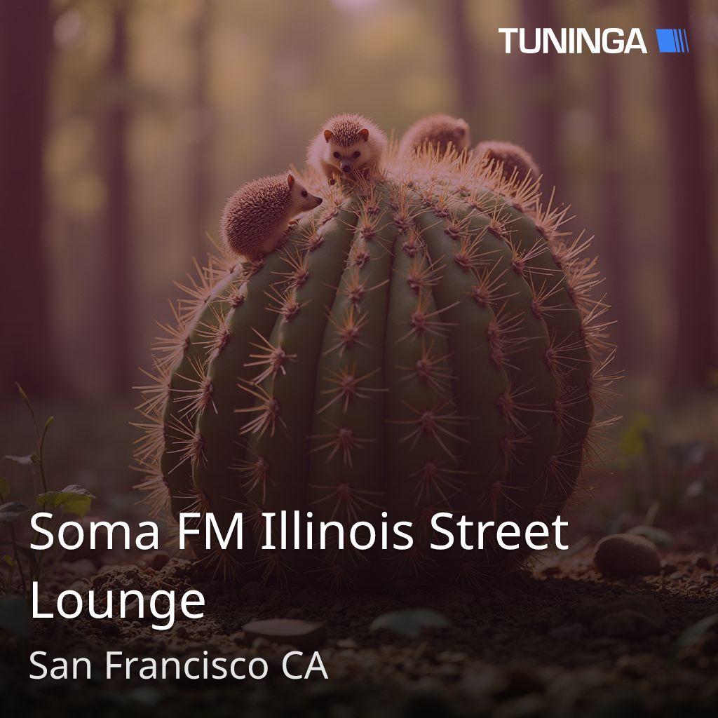 Soma FM Illinois Street Lounge