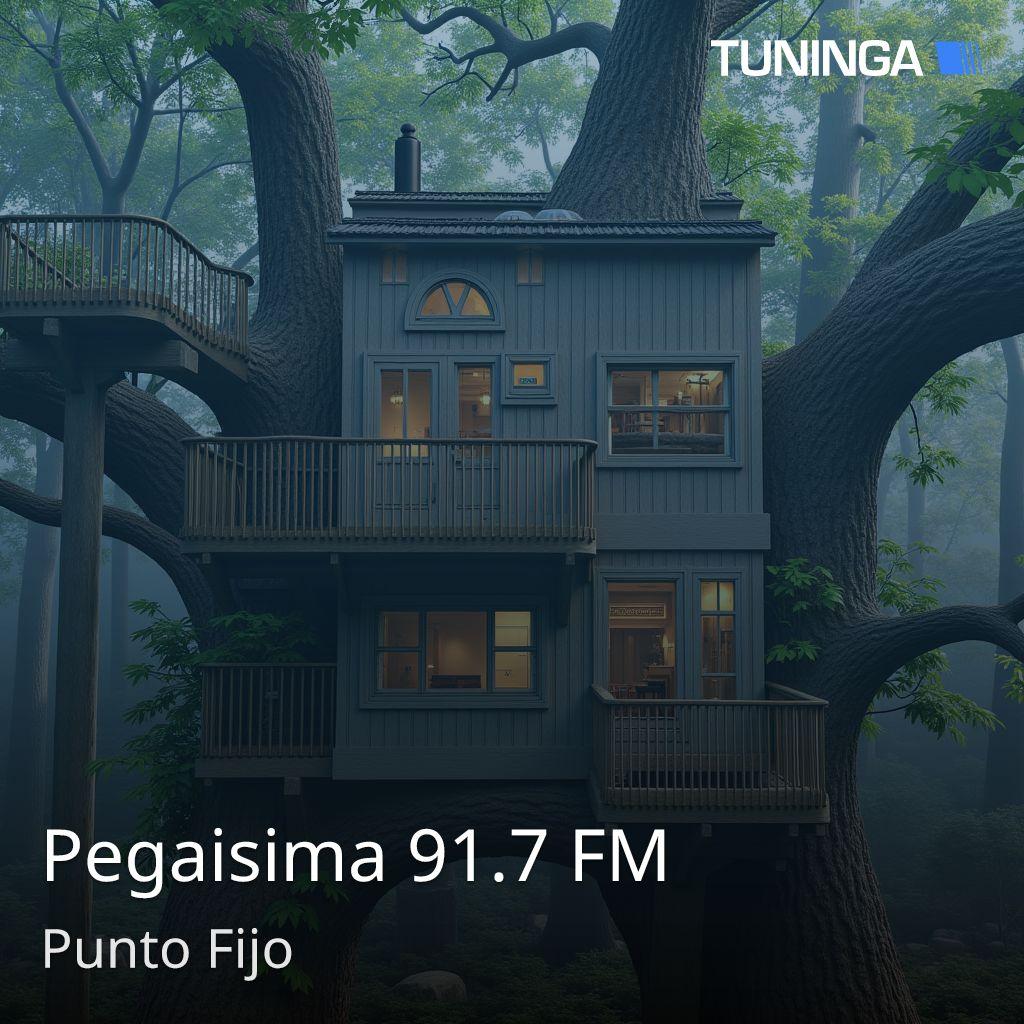 Pegaisima 91.7 FM