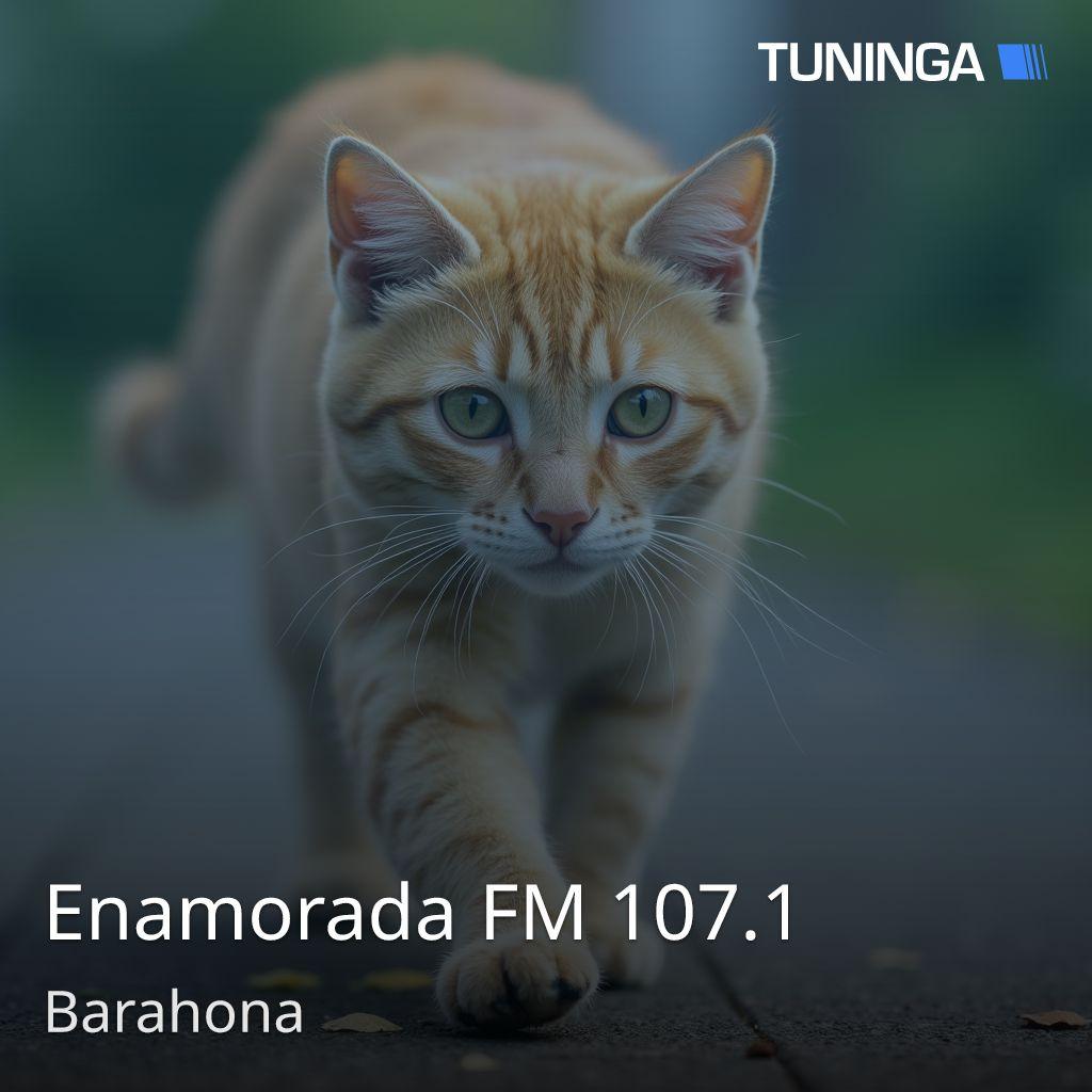 Enamorada FM 107.1