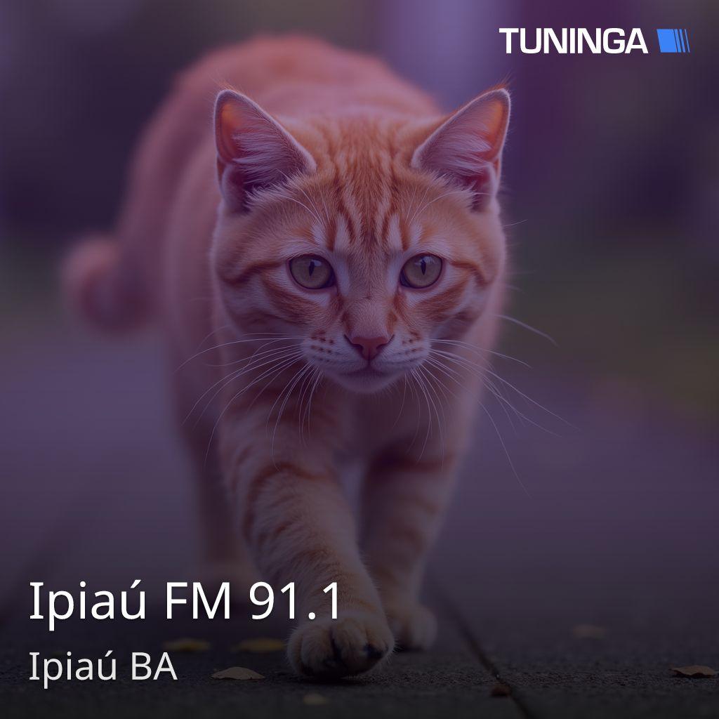Ipiaú FM 91.1