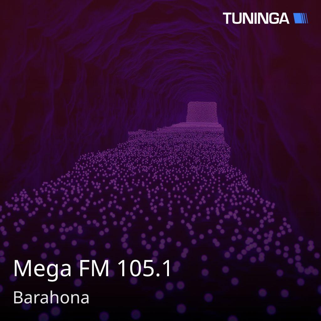 Mega FM 105.1