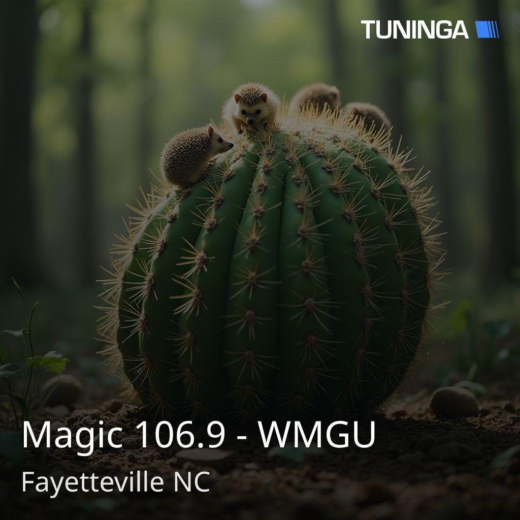 Magic 106.9 - WMGU