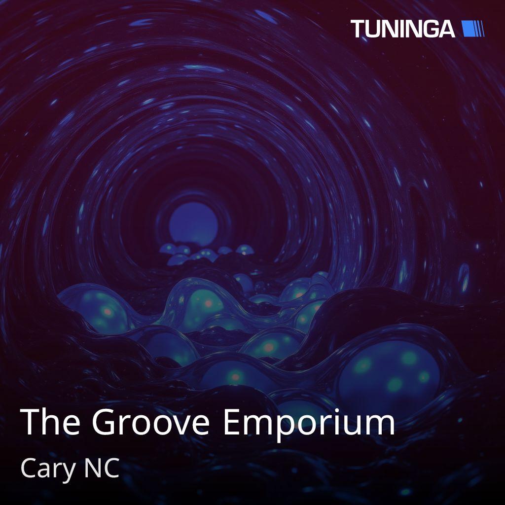 The Groove Emporium