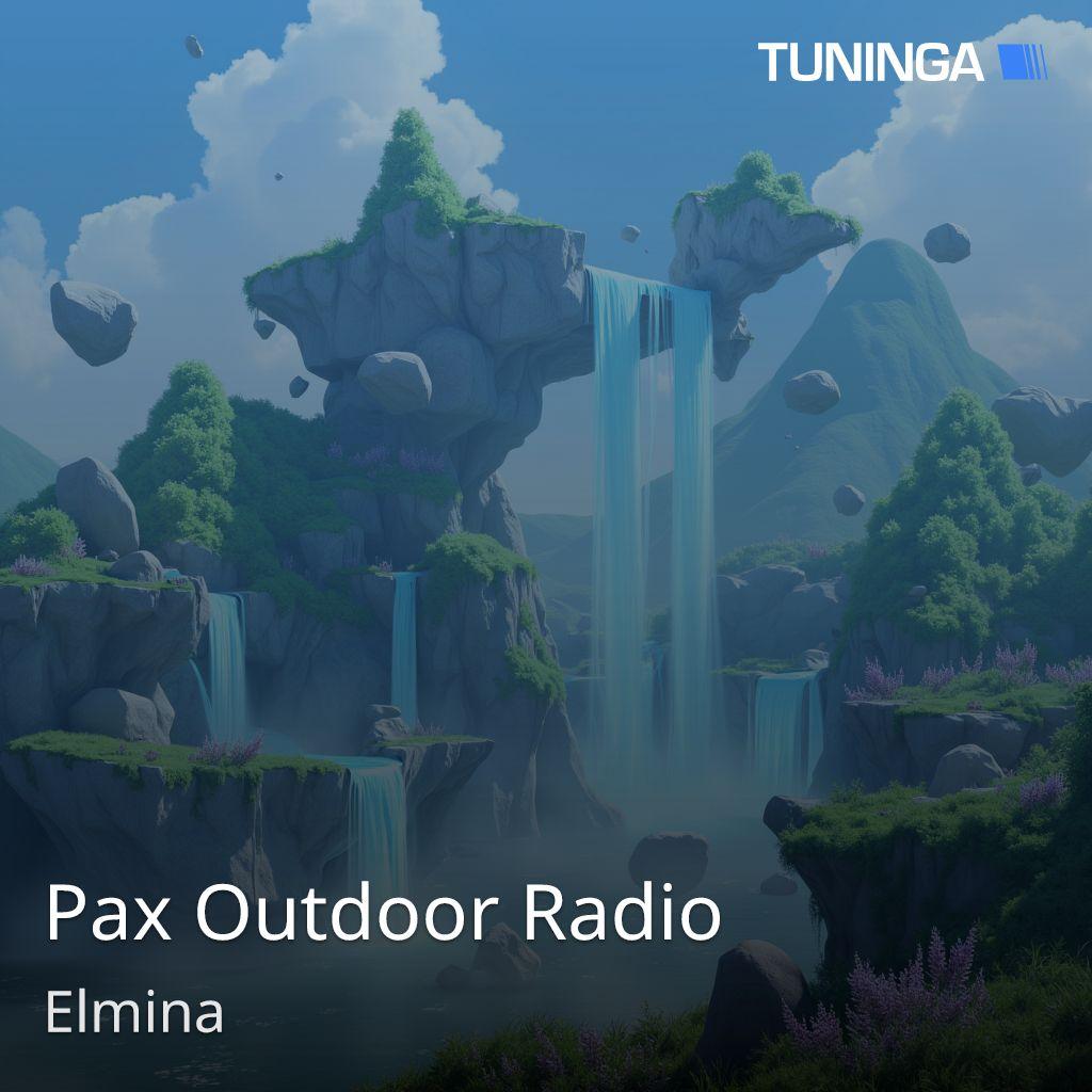 Pax Outdoor Radio