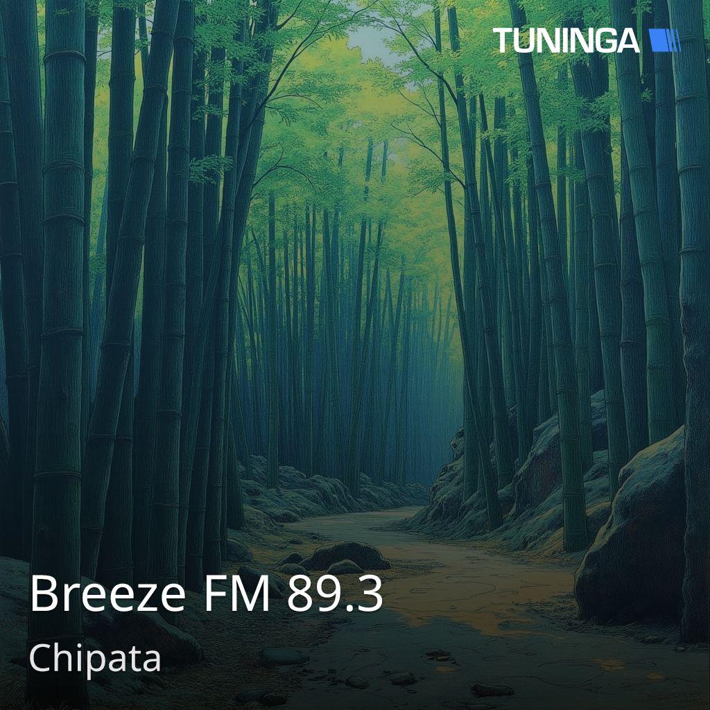 Breeze FM 89.3