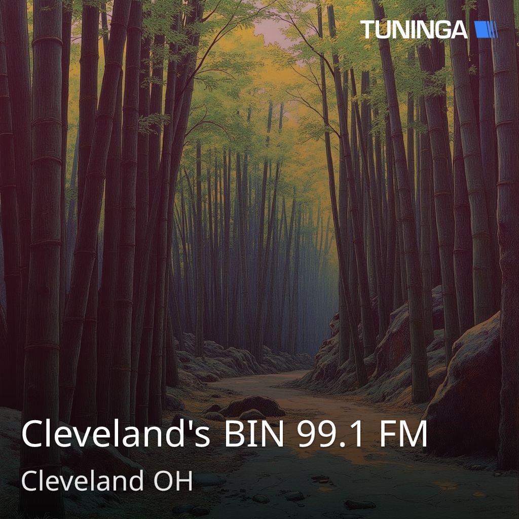 Cleveland's BIN 99.1 FM