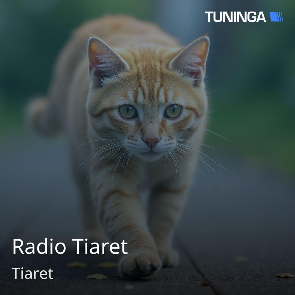 Radio Tiaret