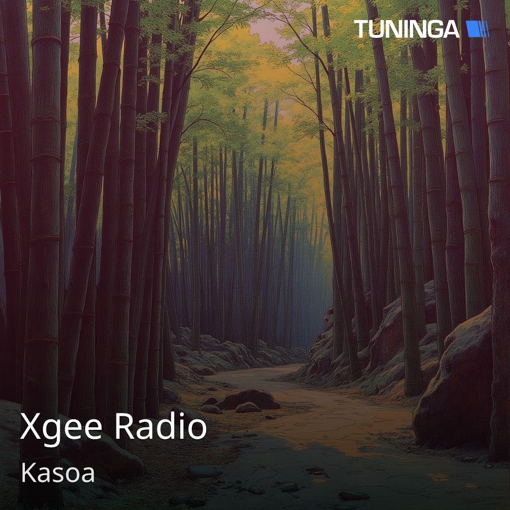 Xgee Radio