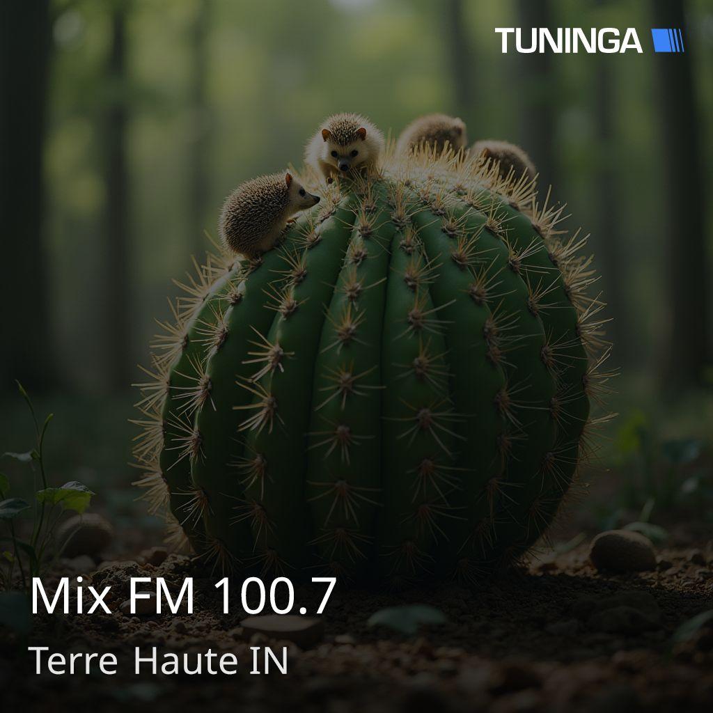 Mix FM 100.7