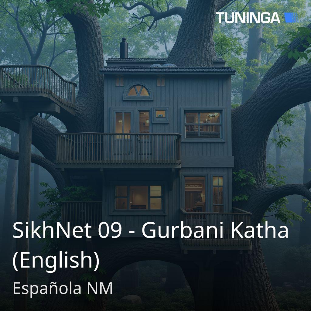 SikhNet 09 - Gurbani Katha (English)