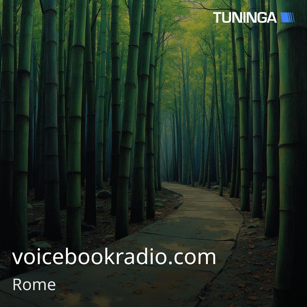voicebookradio.com