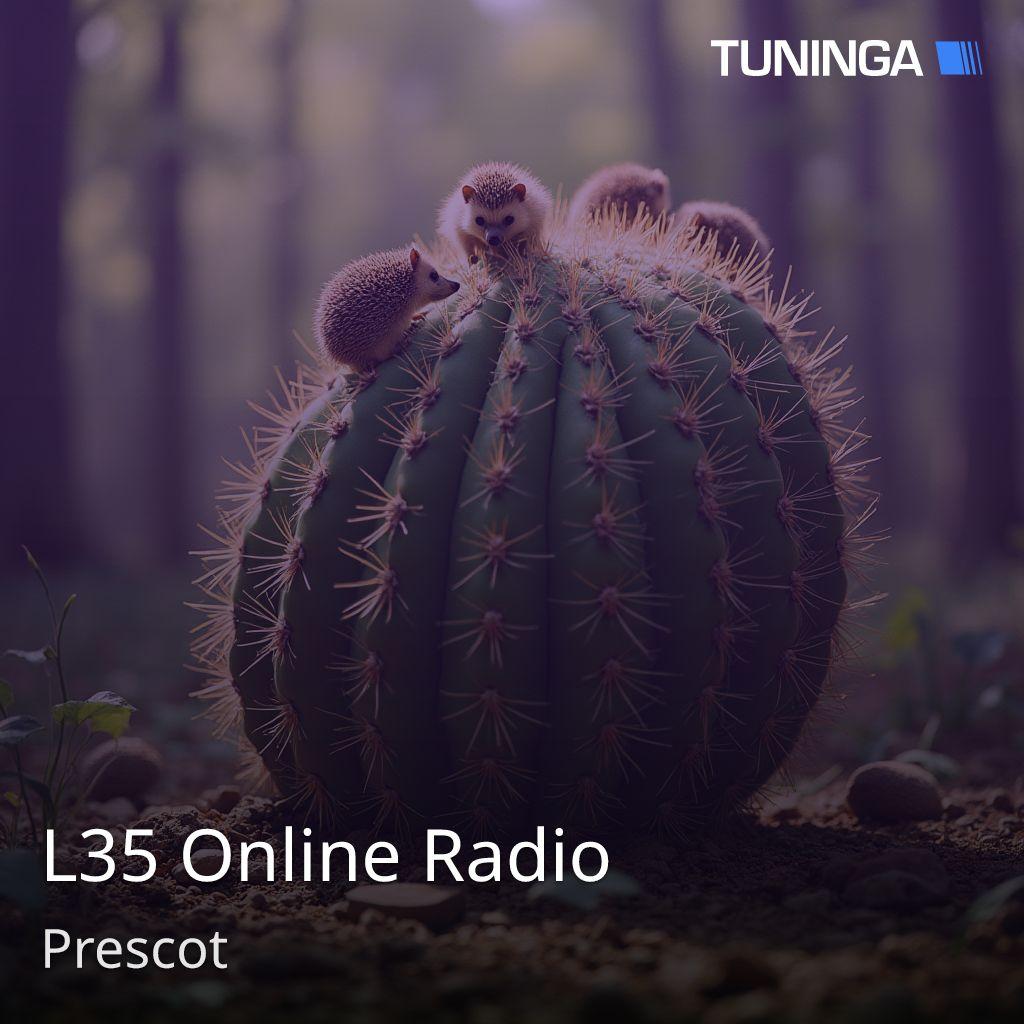 L35 Online Radio