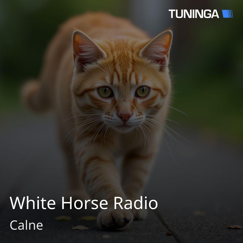 White Horse Radio