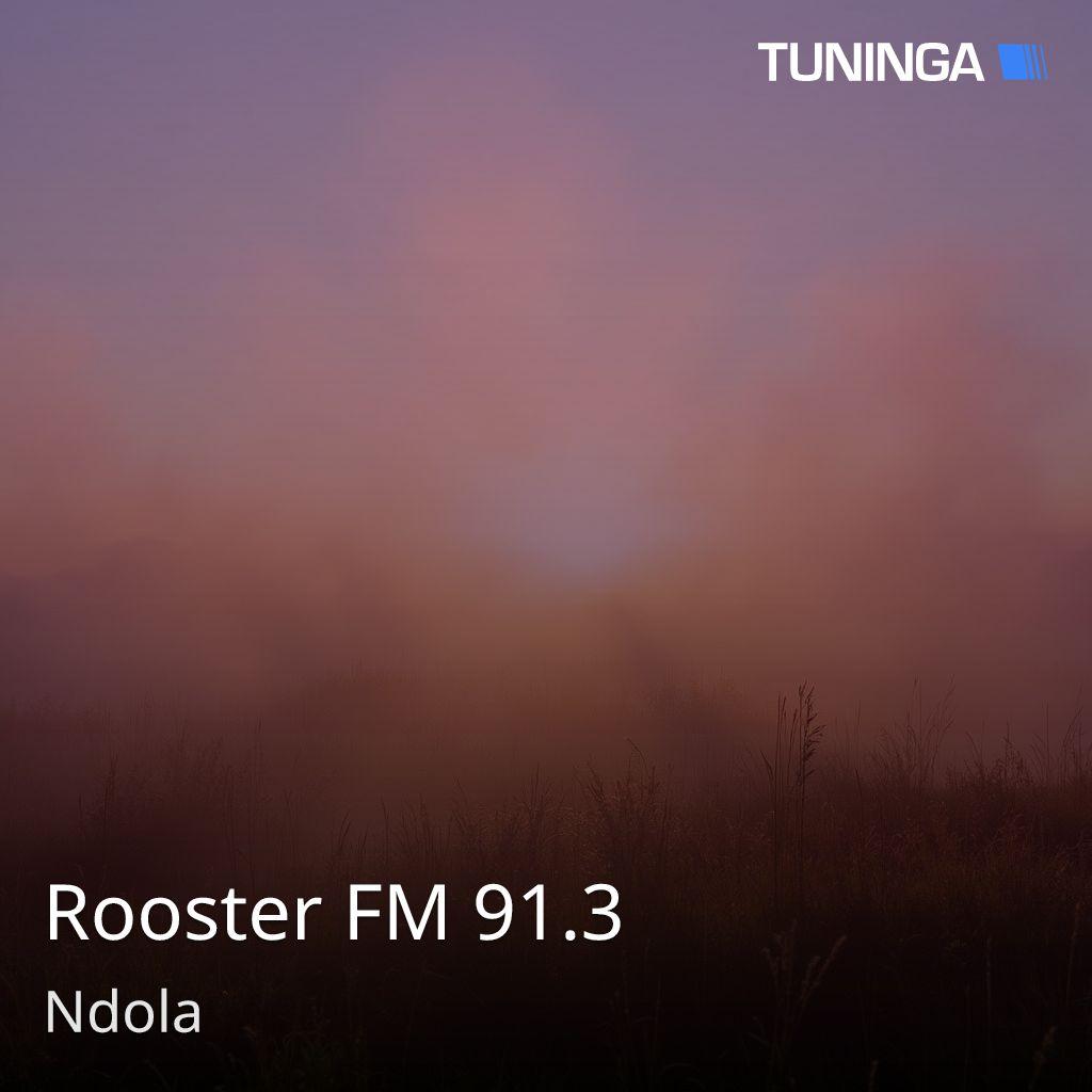 Rooster FM 91.3