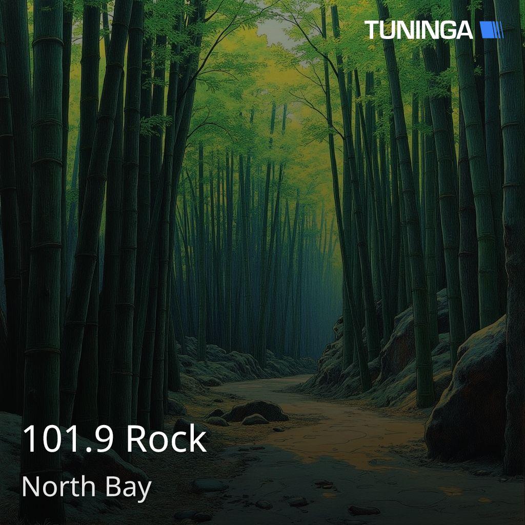 101.9 Rock