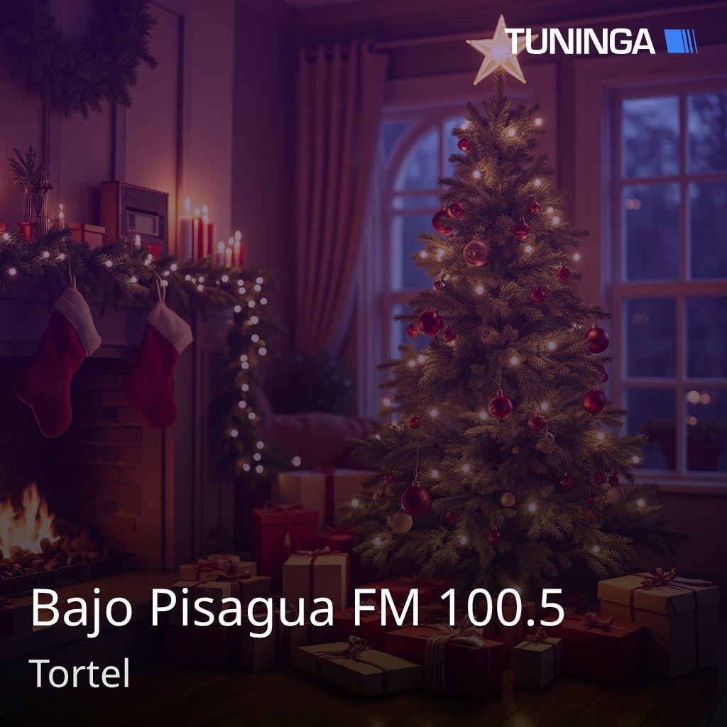 Bajo Pisagua FM 100.5