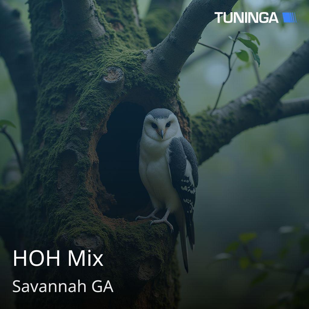 HOH Mix