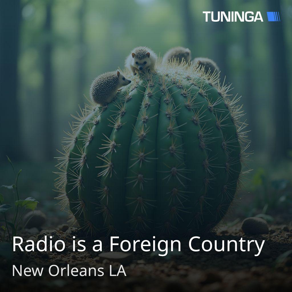 Radio is a Foreign Country