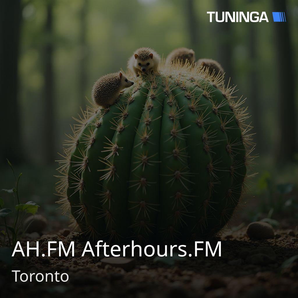 AH.FM Afterhours.FM