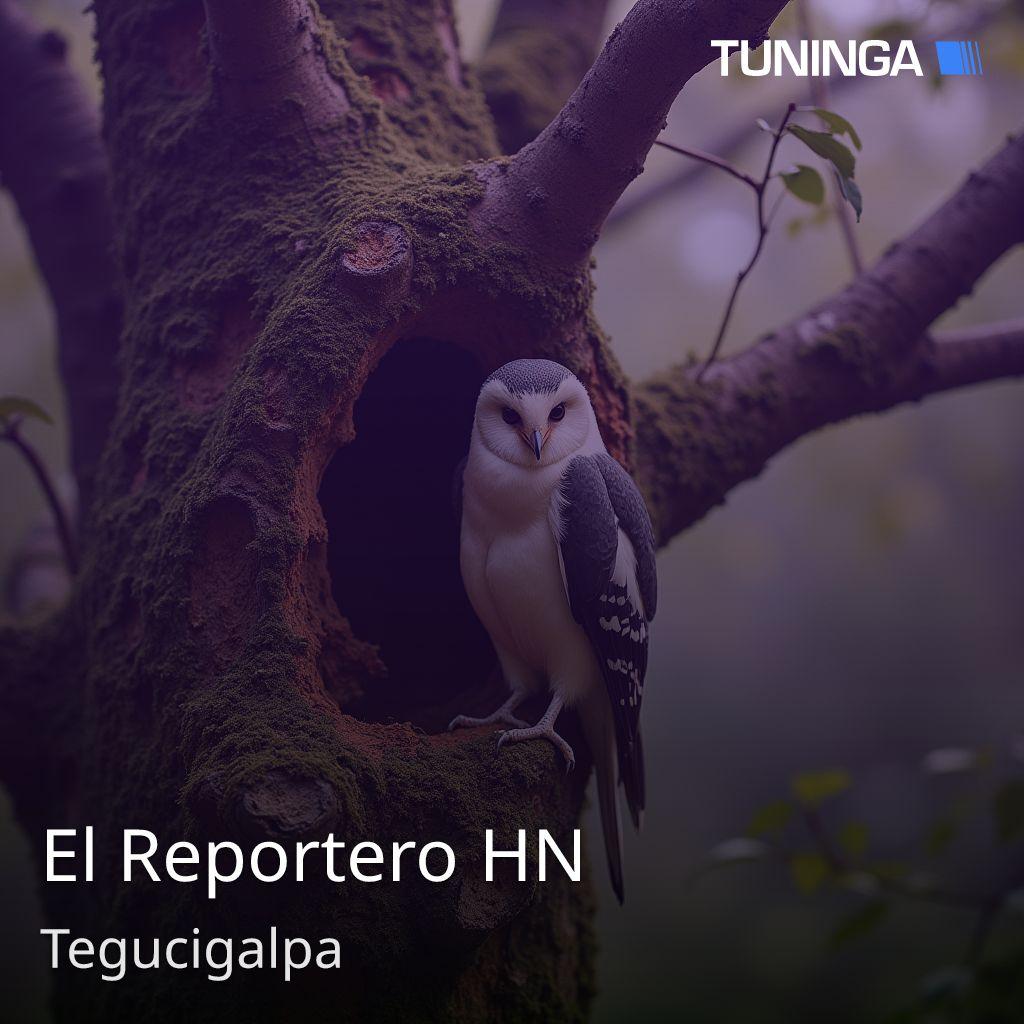 El Reportero HN