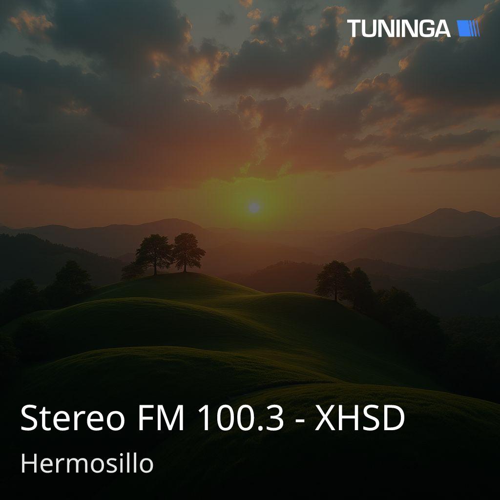 Stereo FM 100.3 - XHSD