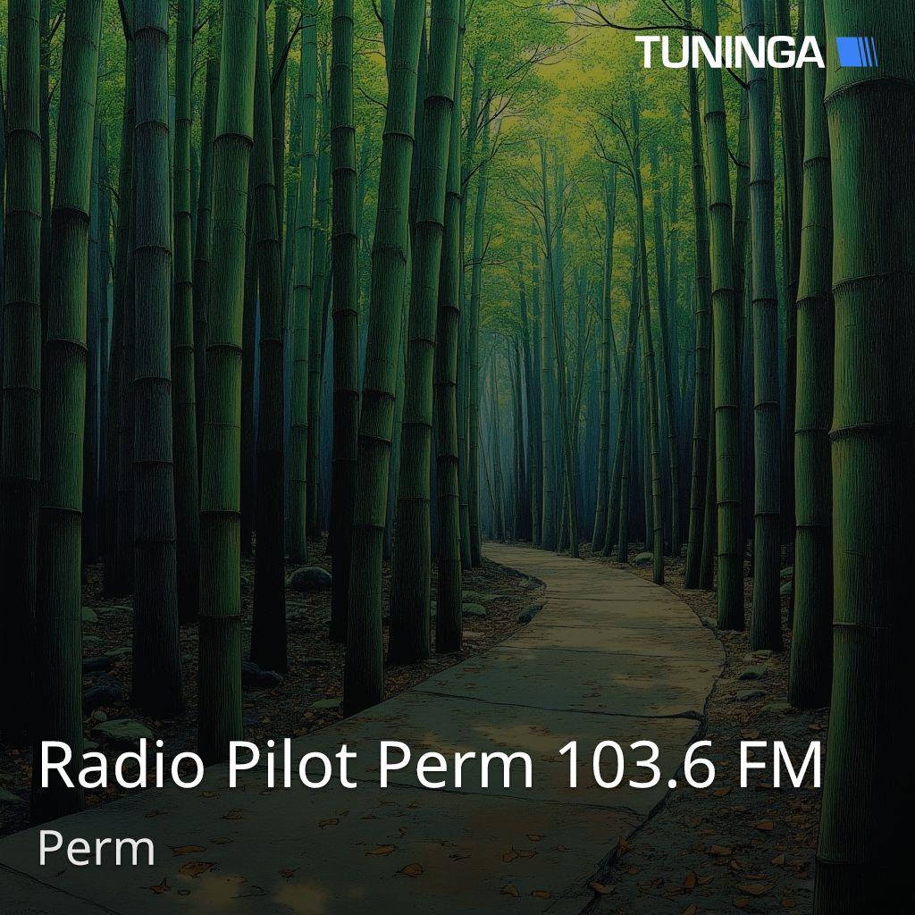 Radio Pilot Perm 103.6 FM