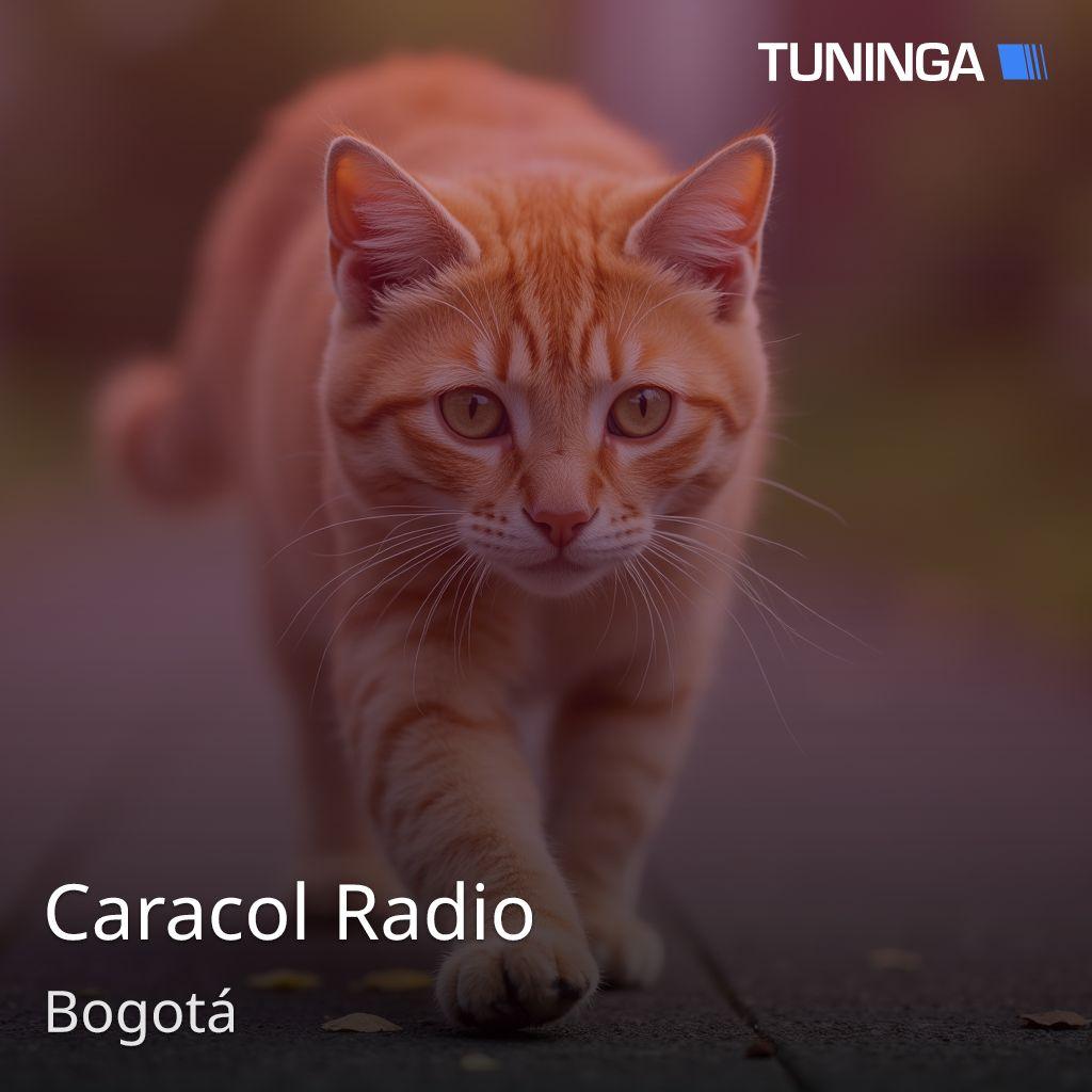Caracol Radio