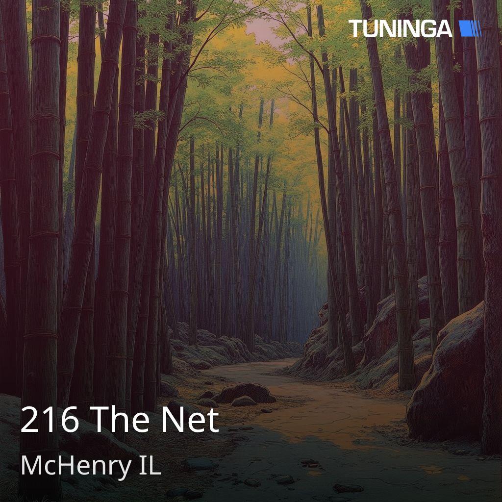 216 The Net