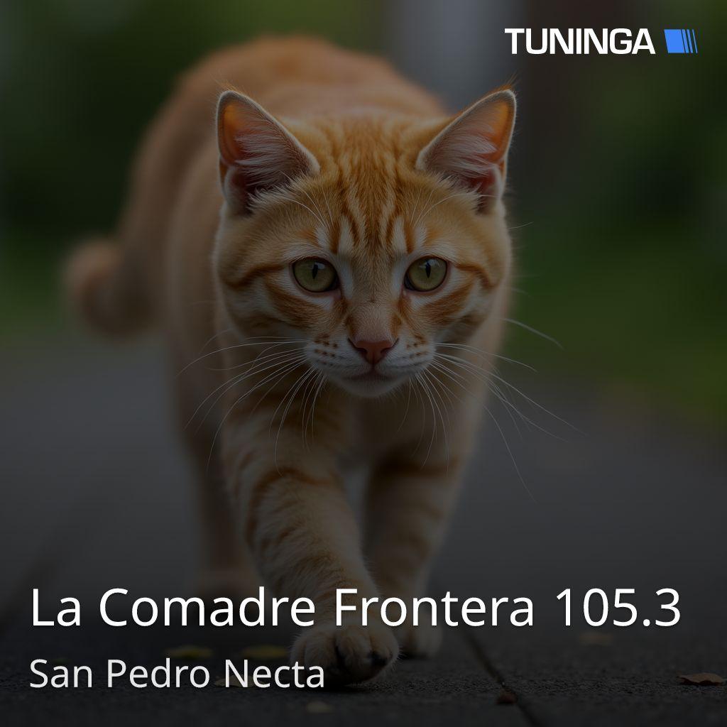 La Comadre Frontera 105.3
