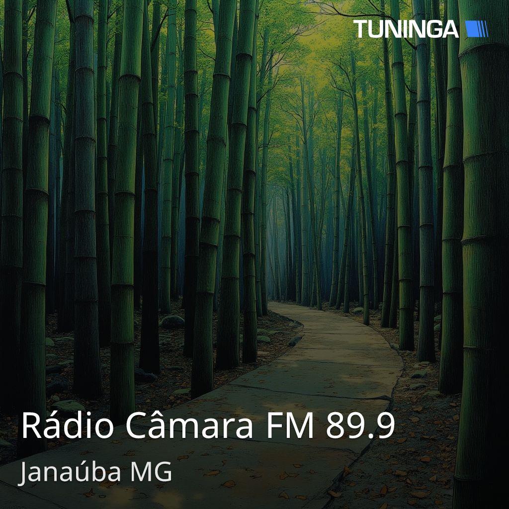 Rádio Câmara FM 89.9