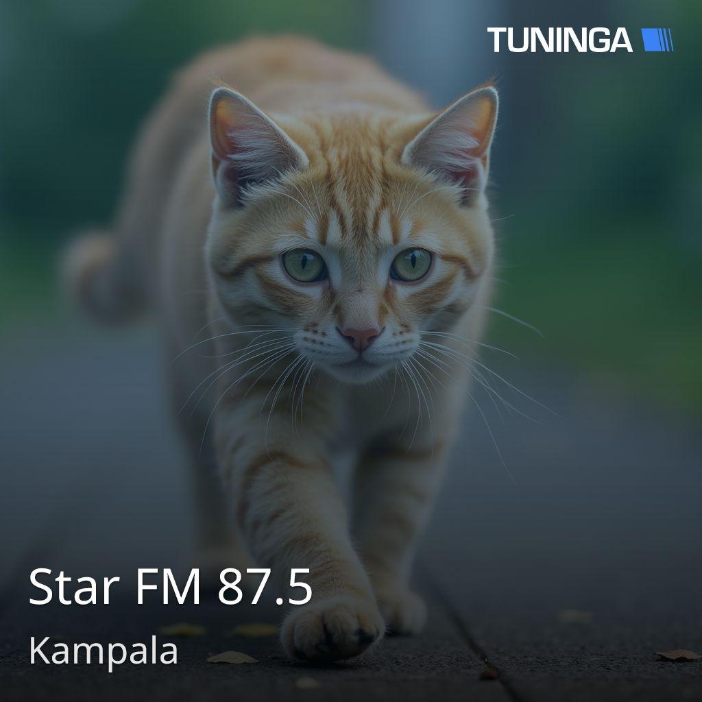 Star FM 87.5