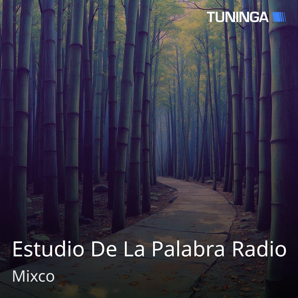 Estudio De La Palabra Radio