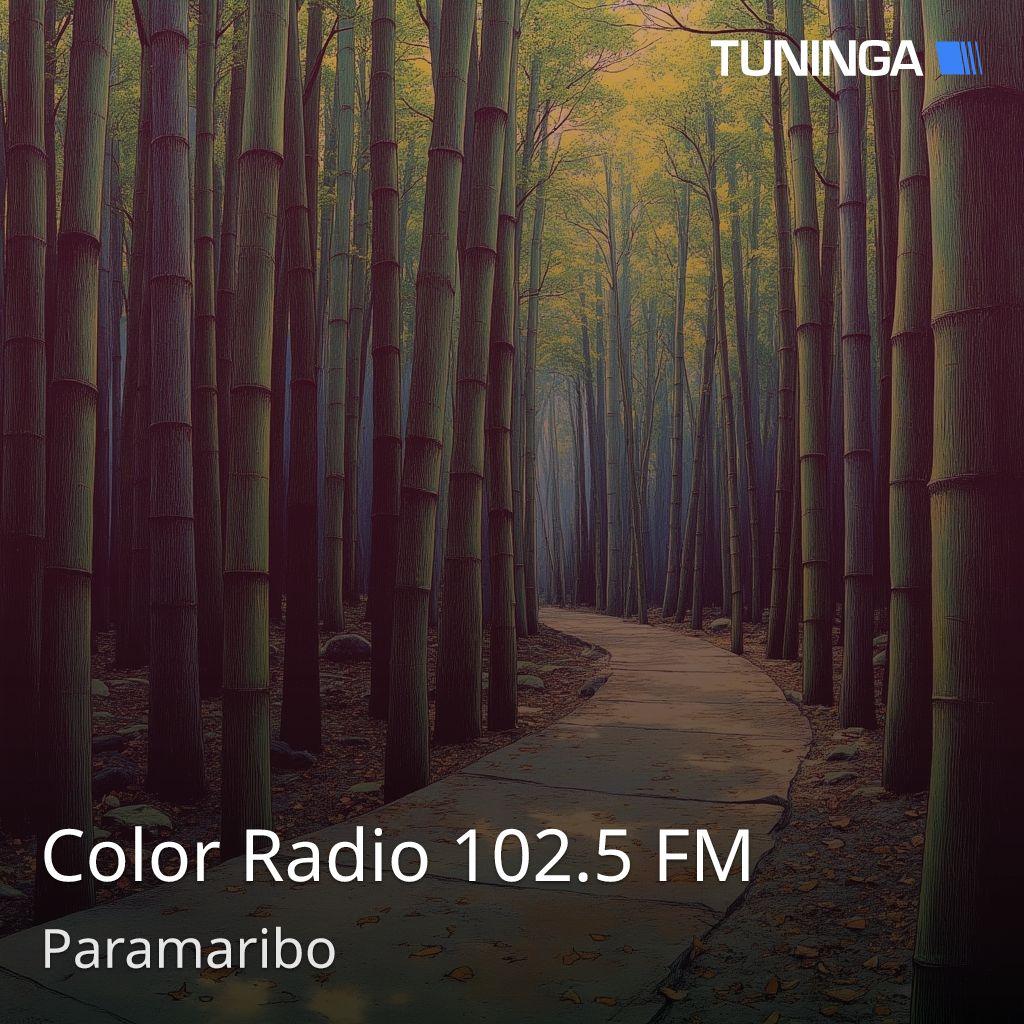 Color Radio 102.5 FM