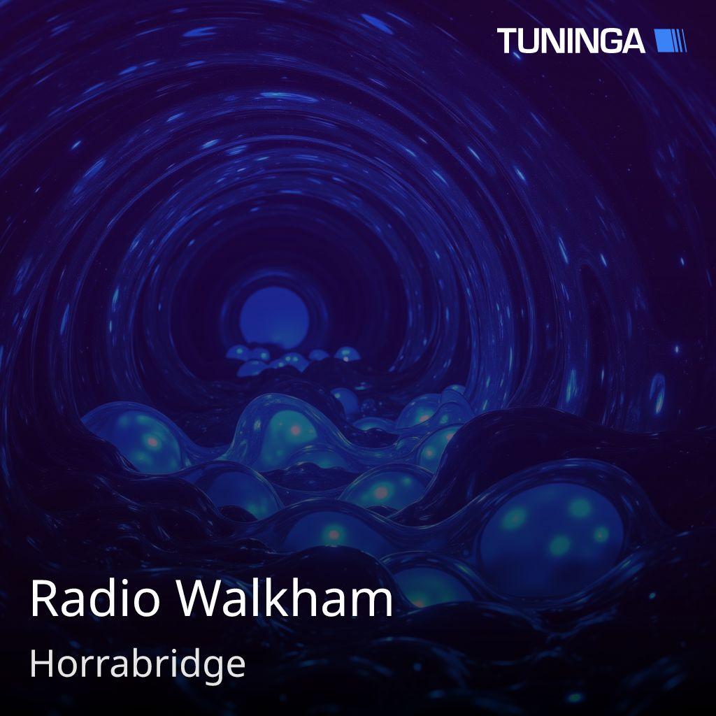 Radio Walkham