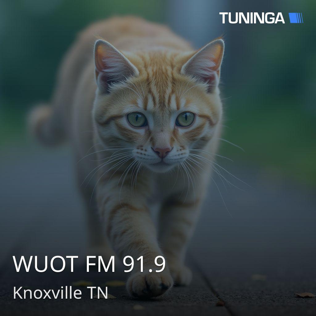 WUOT FM 91.9