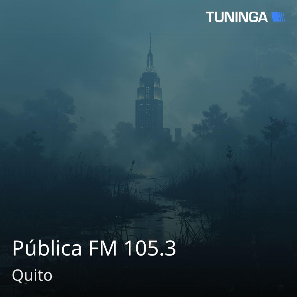 Pública FM 105.3