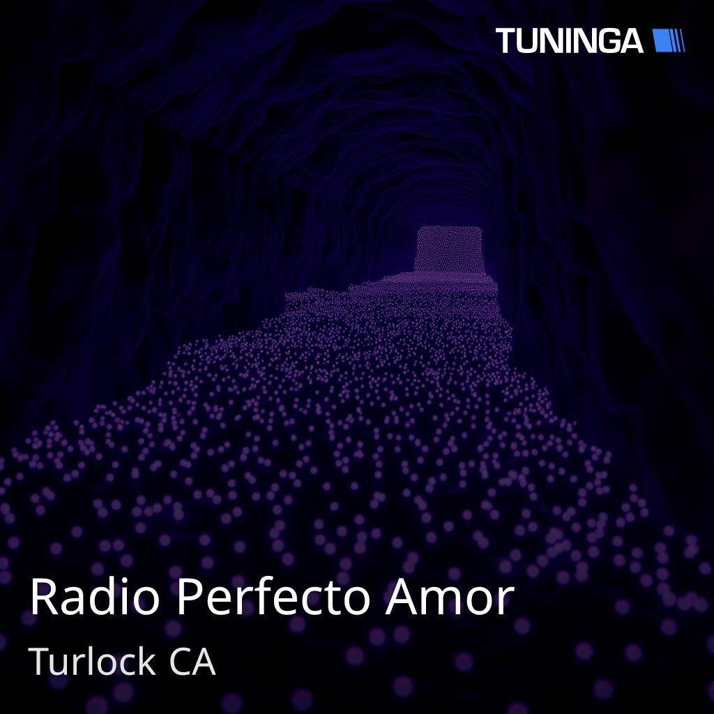 Radio Perfecto Amor