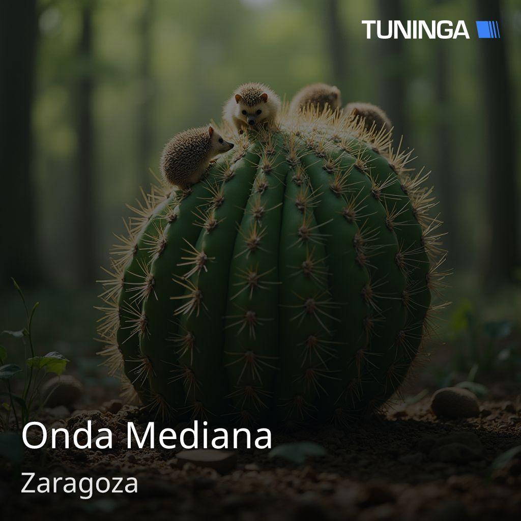 Onda Mediana