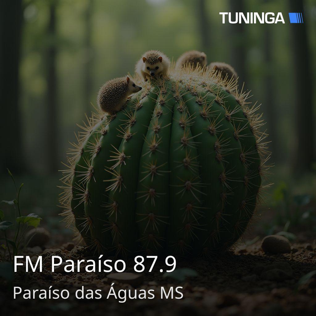 FM Paraíso 87.9