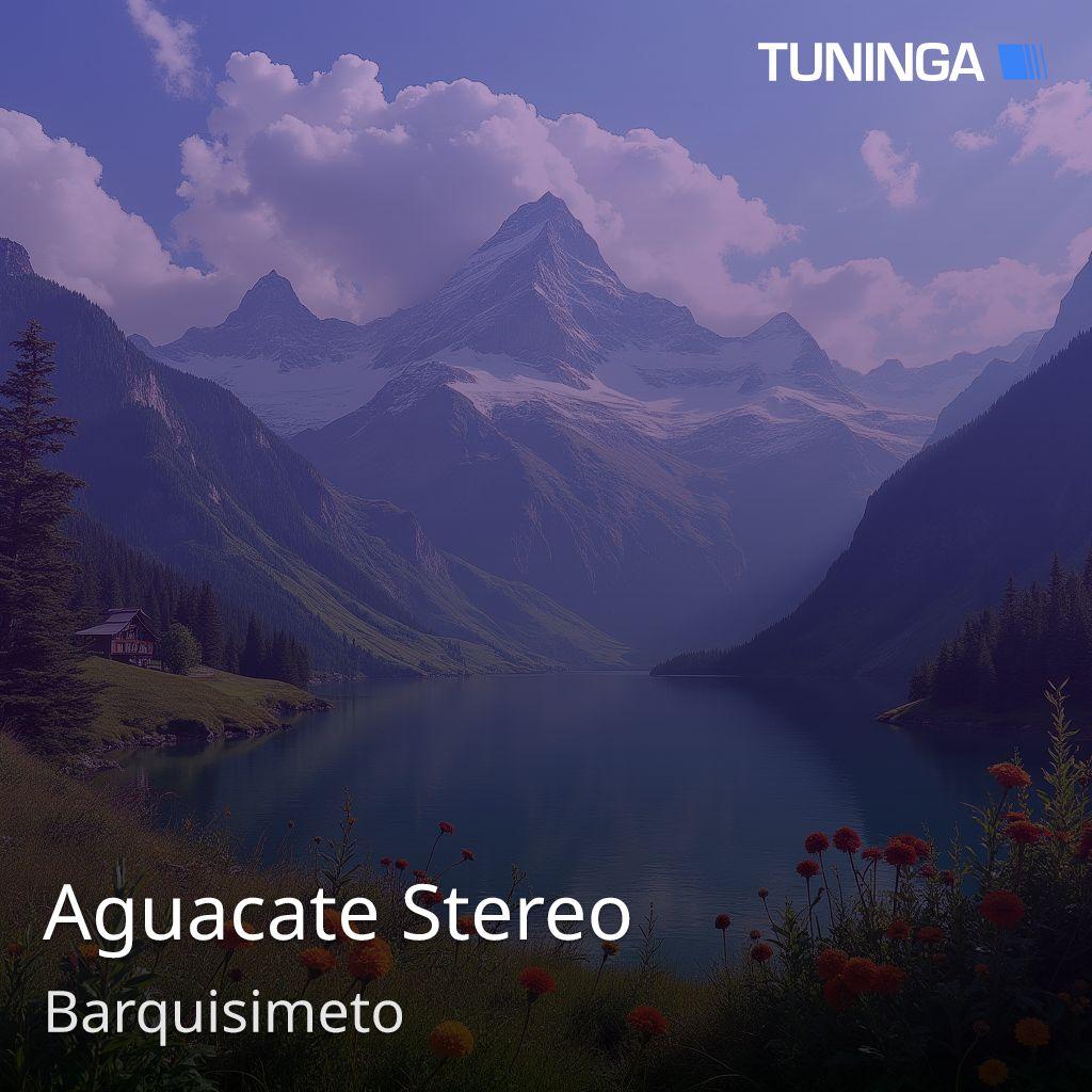 Aguacate Stereo