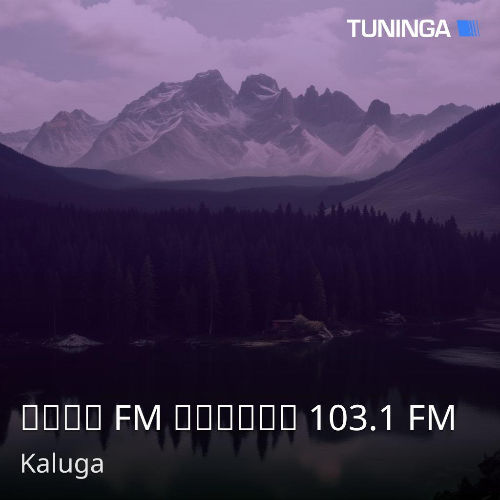 Ника FM Калуга 103.1 FM