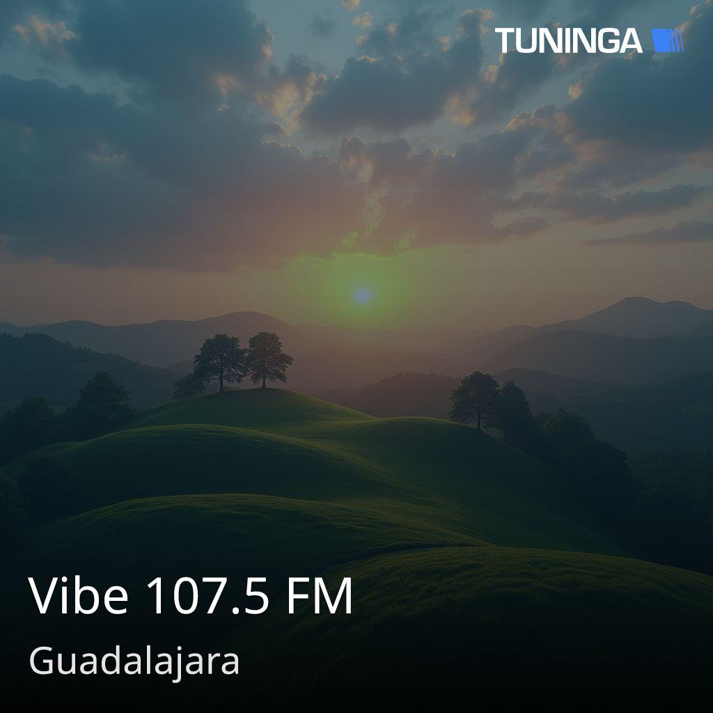 Vibe 107.5 FM