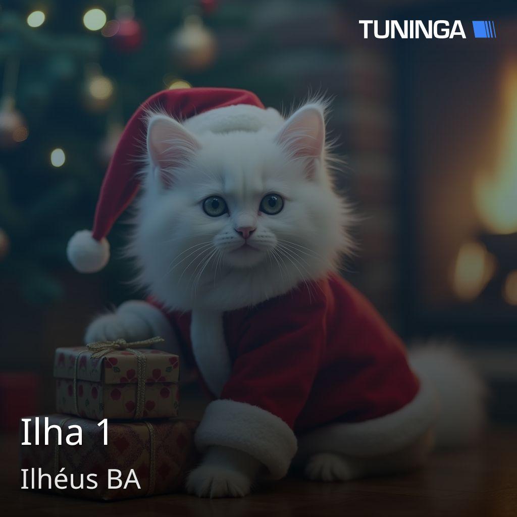 Ilha 1