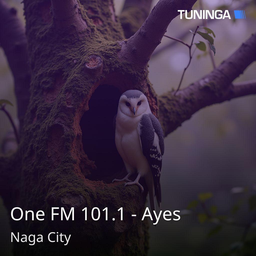 One FM 101.1 - Ayes
