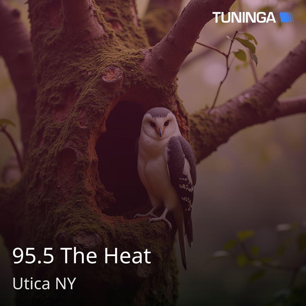 95.5 The Heat