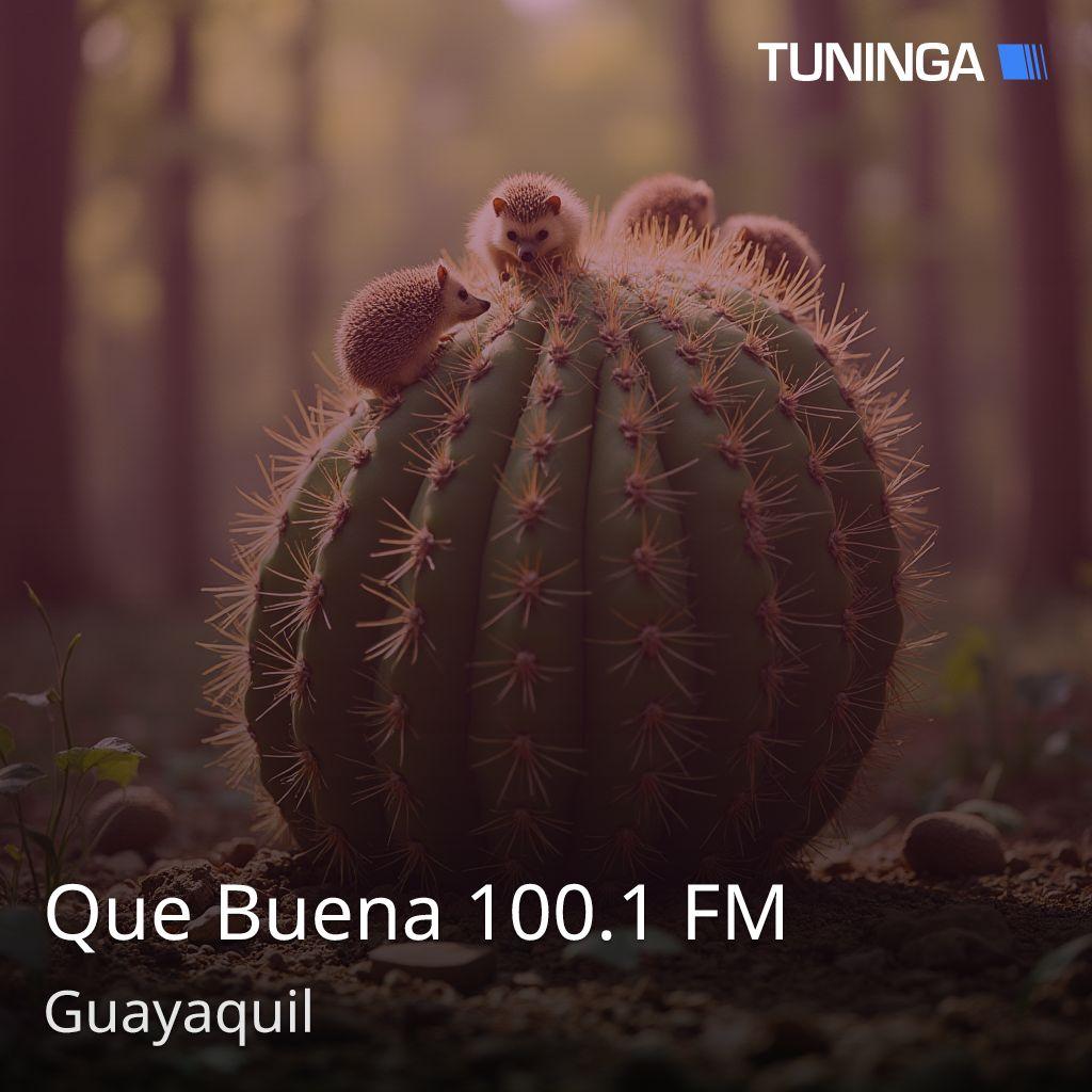 Que Buena 100.1 FM