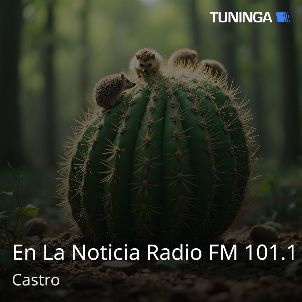 En La Noticia Radio FM 101.1