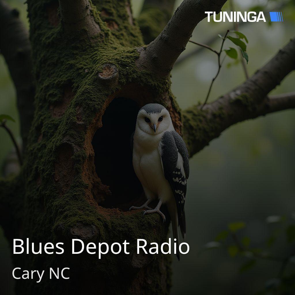 Blues Depot Radio