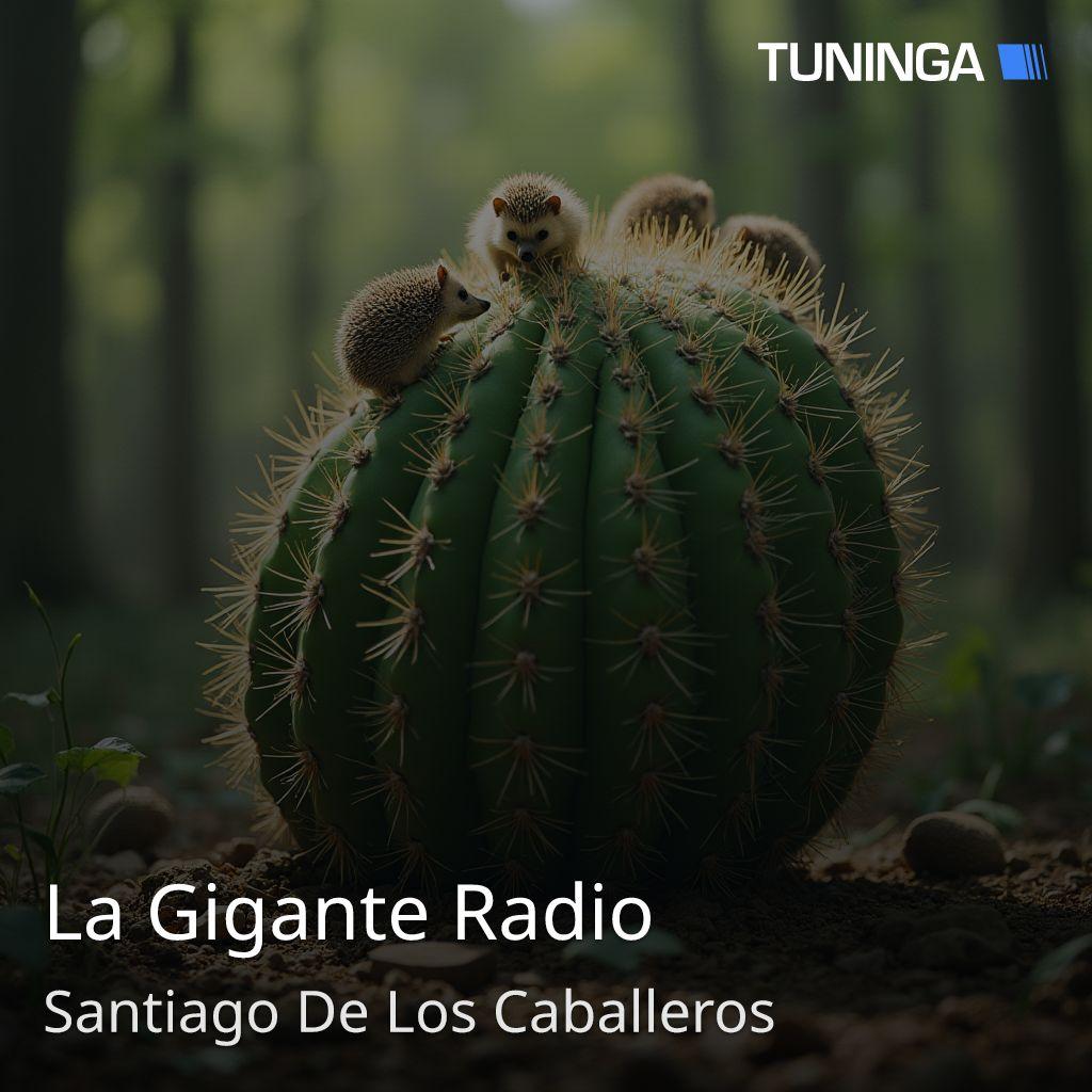La Gigante Radio