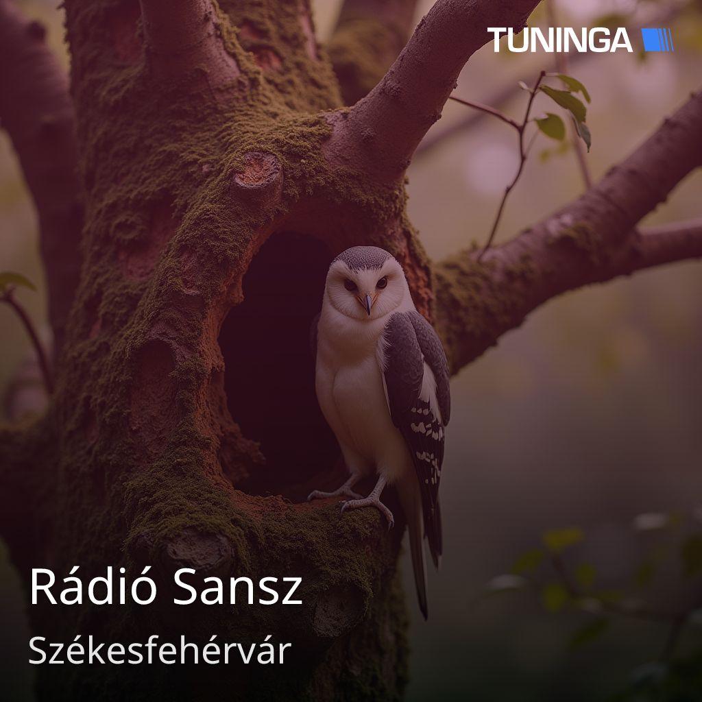 Rádió Sansz